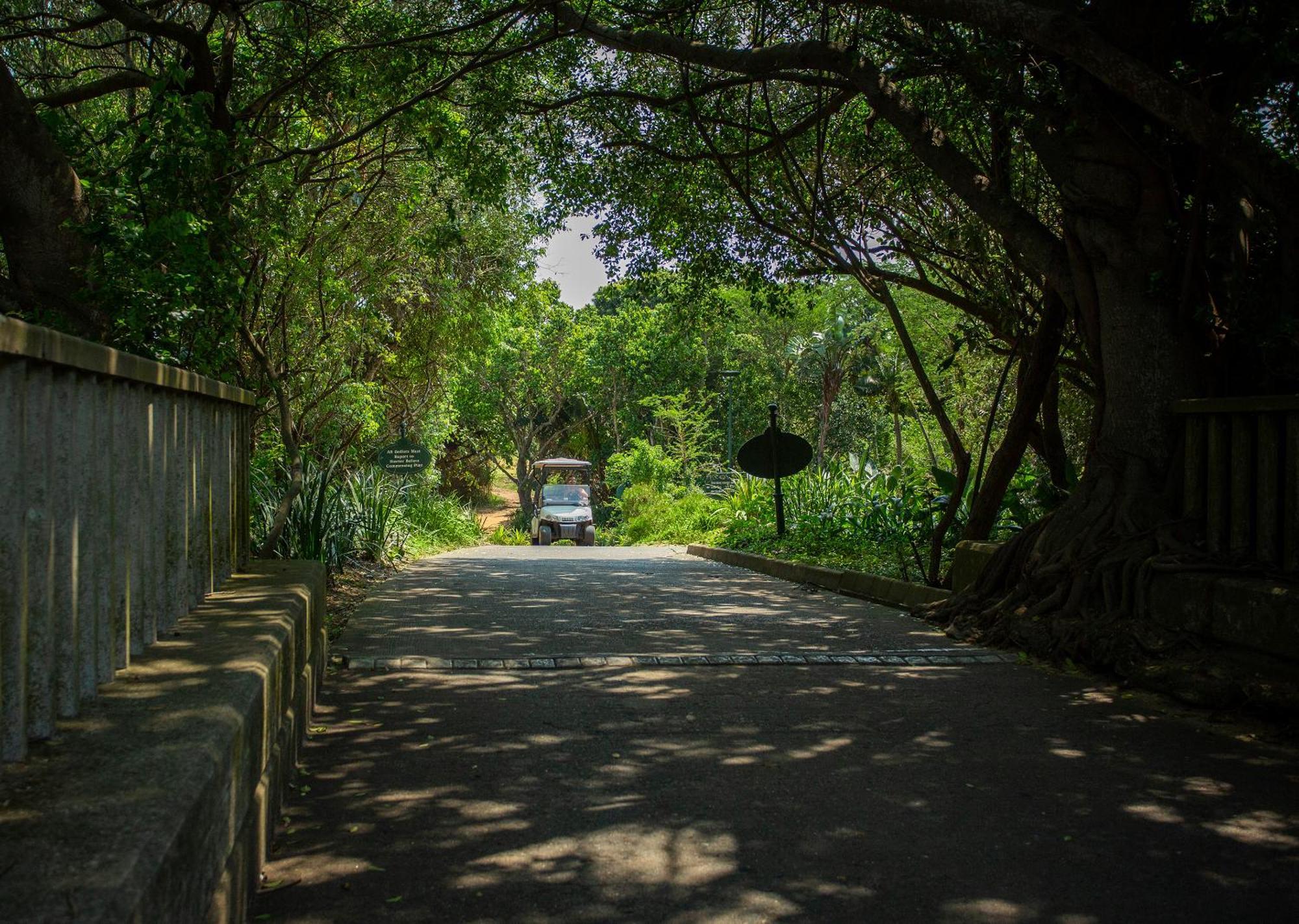 Zimbali Lodge By Dream Resorts uMhlali Zewnętrze zdjęcie